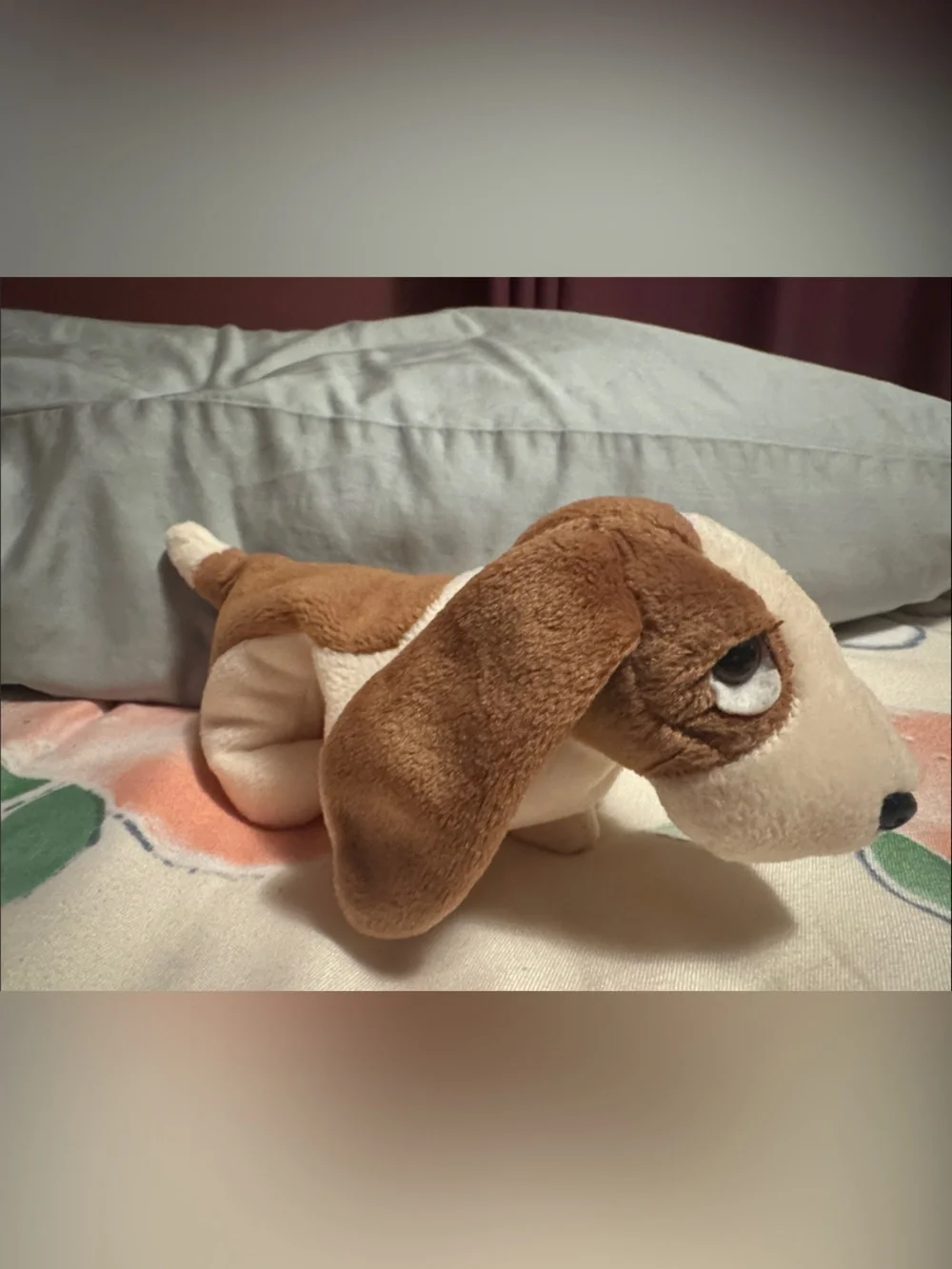 Ty Beanie Babies Collection